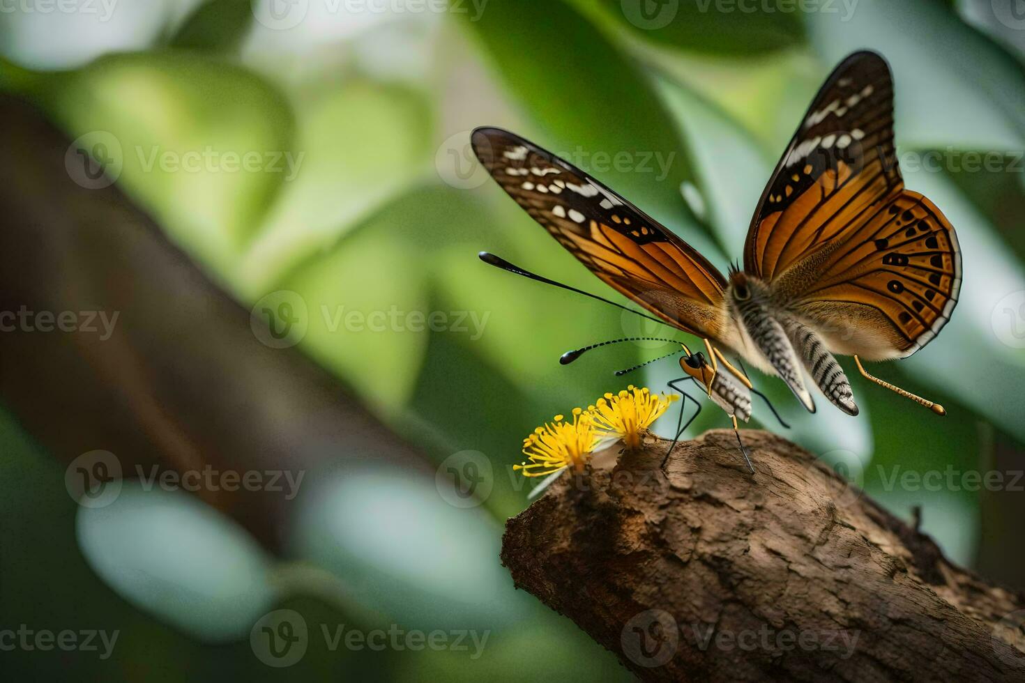 a butterfly is sitting on a branch with yellow flowers. AI-Generated photo