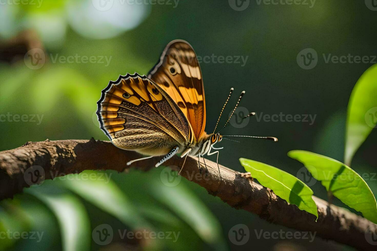 a butterfly sits on a branch in the sun. AI-Generated photo