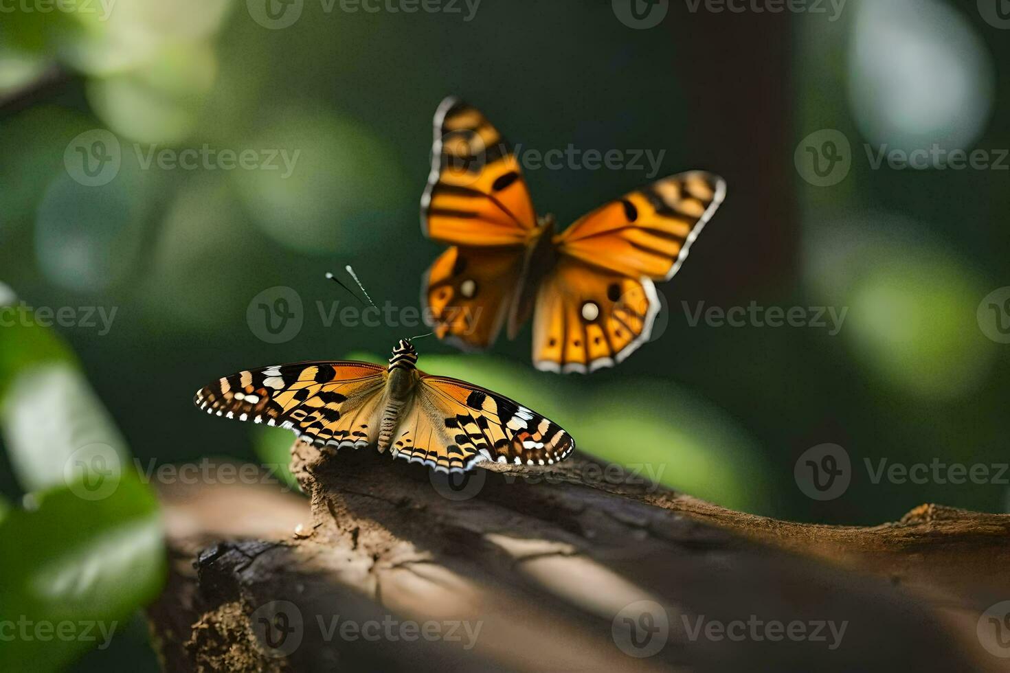 dos mariposas son sentado en un rama. generado por ai foto