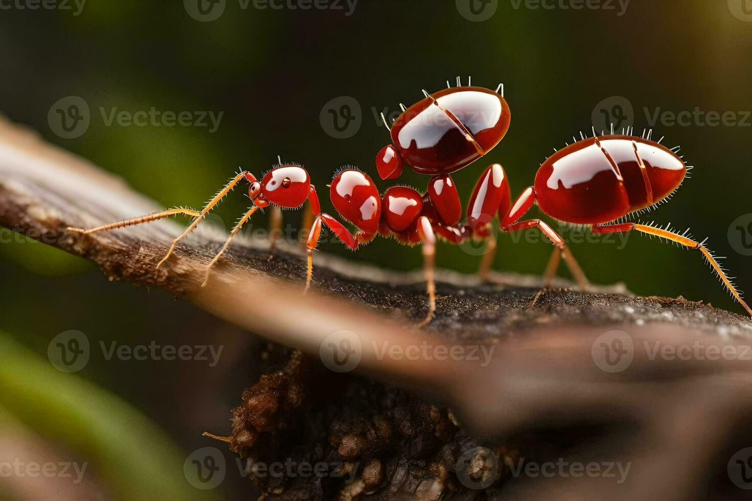 a red ant is standing on a branch. AI-Generated photo