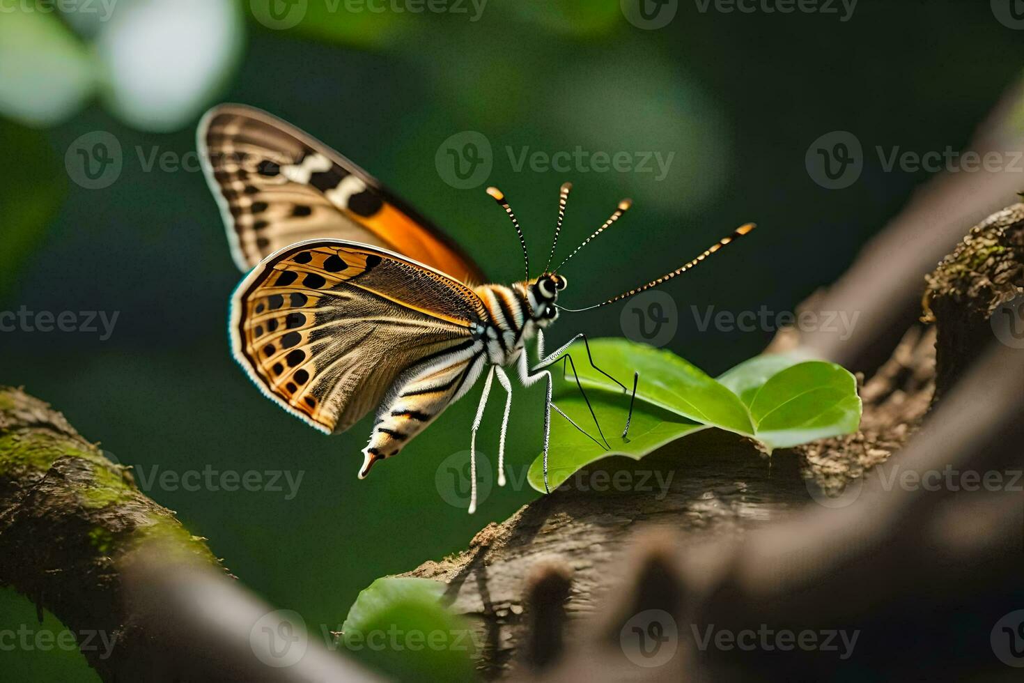 un mariposa es sentado en un rama con hojas. generado por ai foto