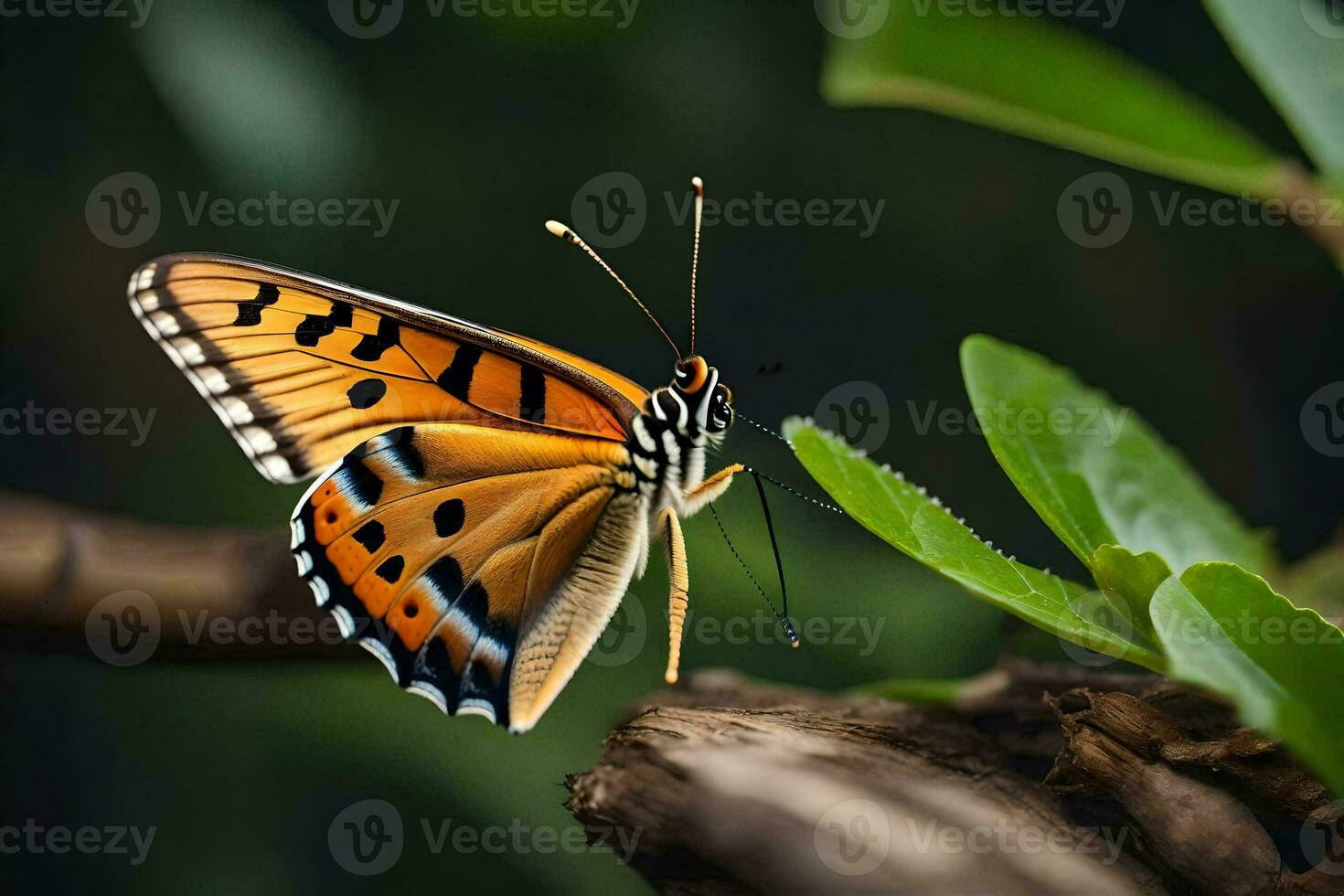a butterfly is sitting on a branch. AI-Generated photo