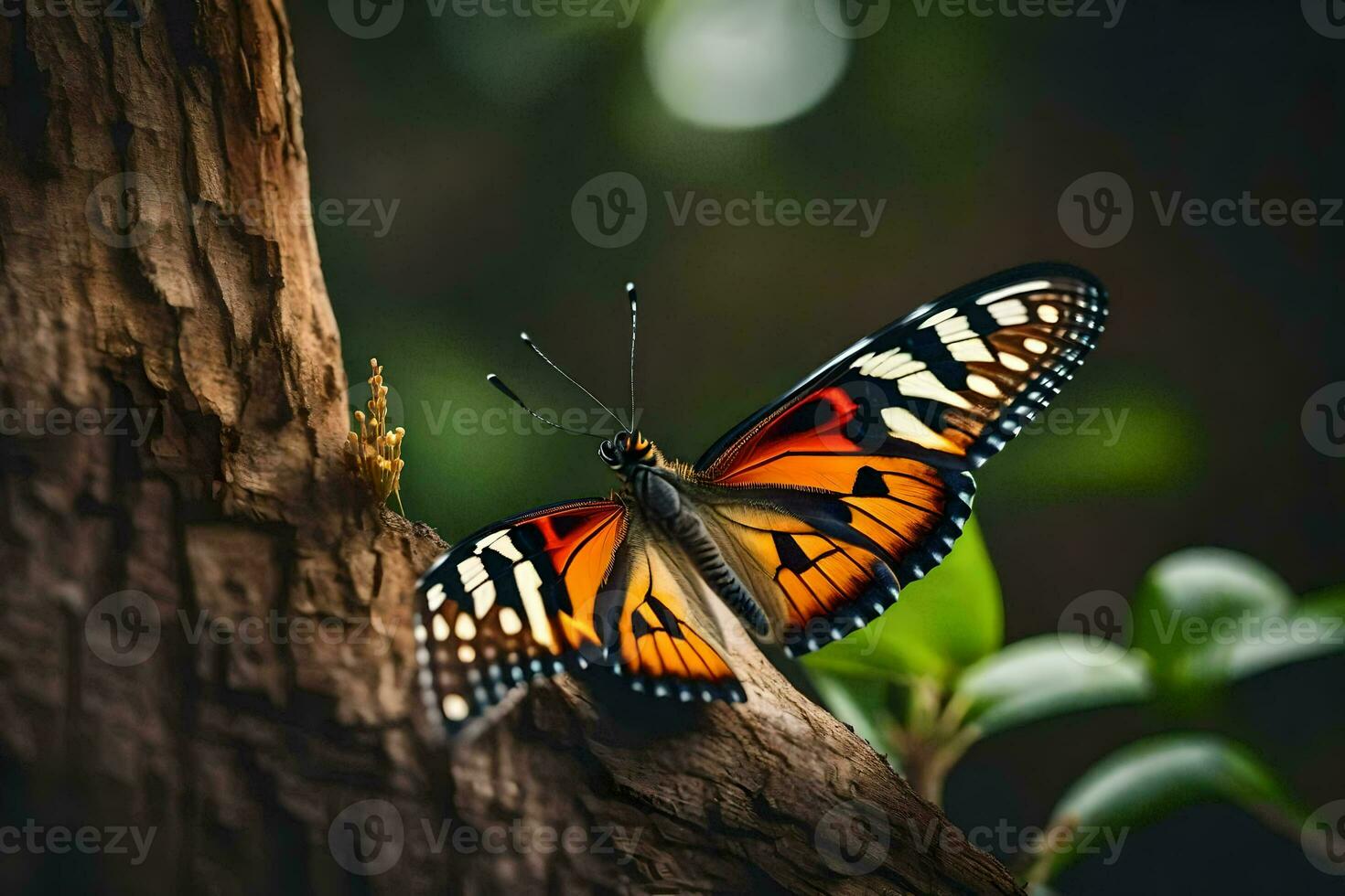 butterfly, nature, nature photography, nature, nature photography, nature photography, nature photography. AI-Generated photo