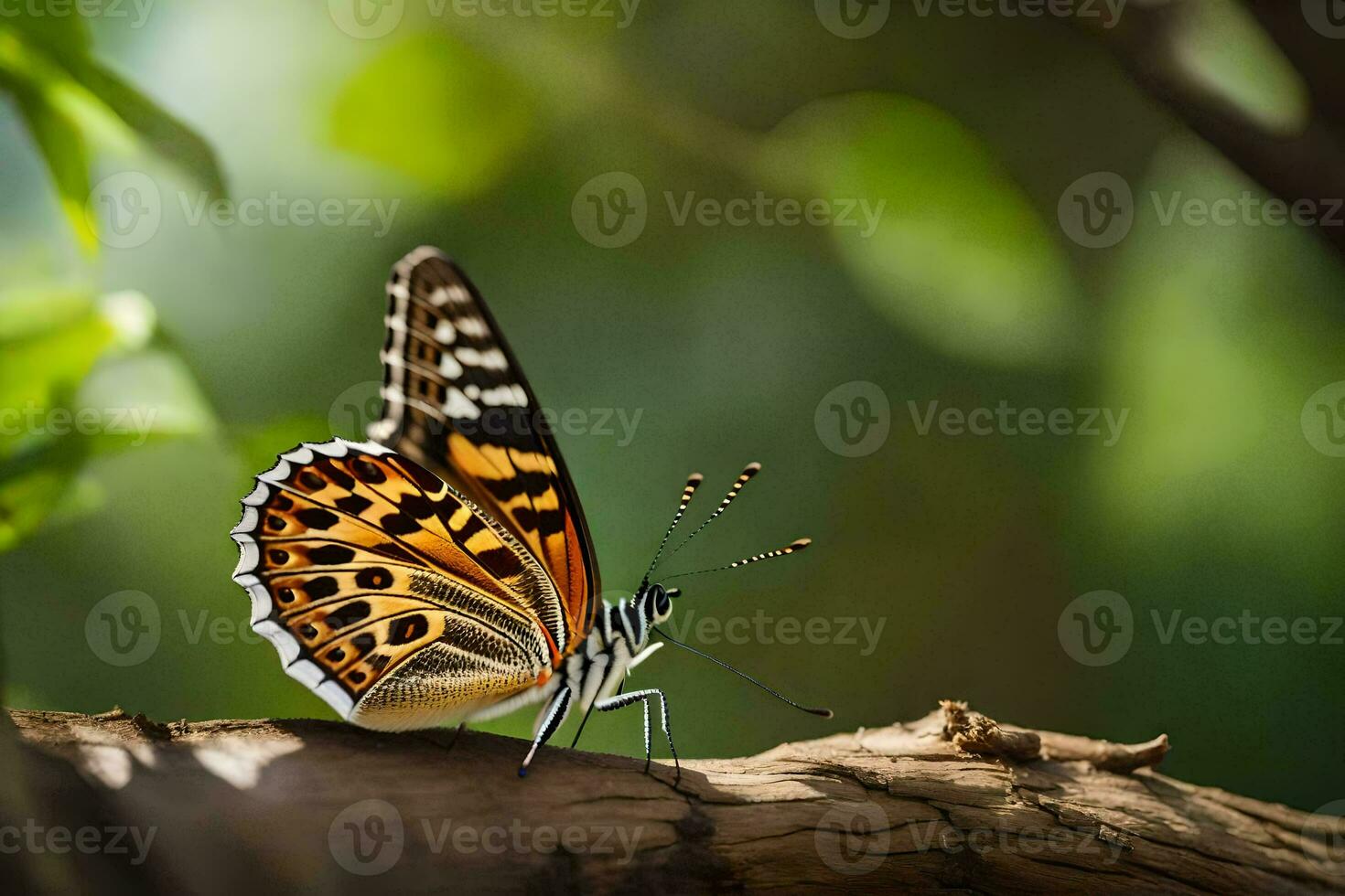 a butterfly is sitting on a branch in the sun. AI-Generated photo