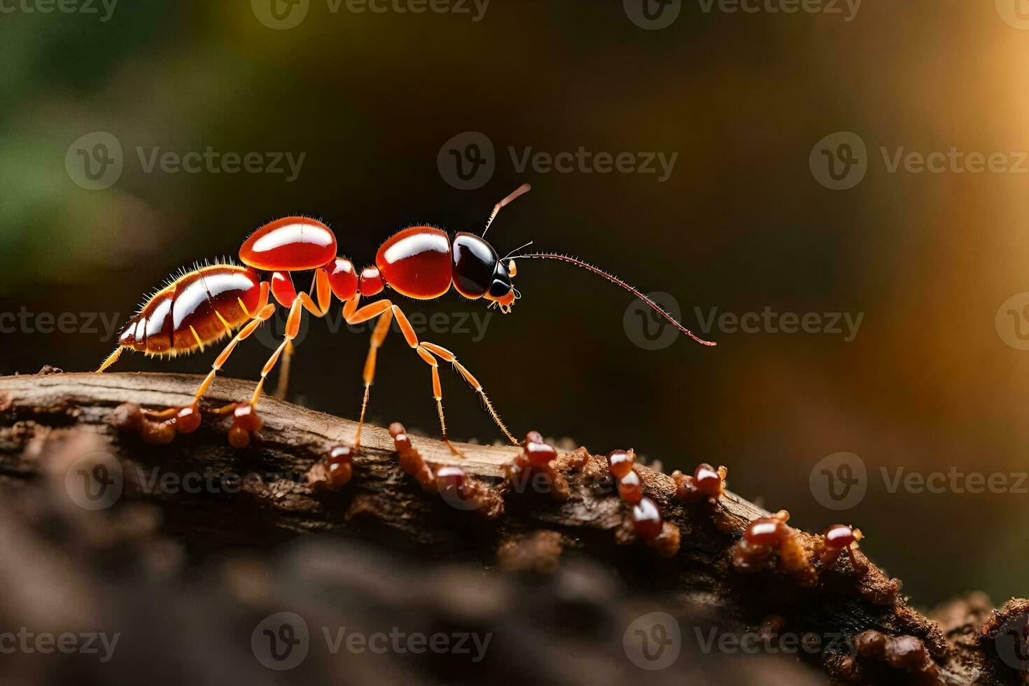 photo wallpaper the bug, red, ant, insect, bug, bug, bug, bug,. AI-Generated