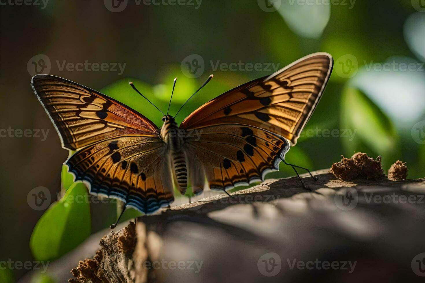 a butterfly is sitting on a tree trunk. AI-Generated photo