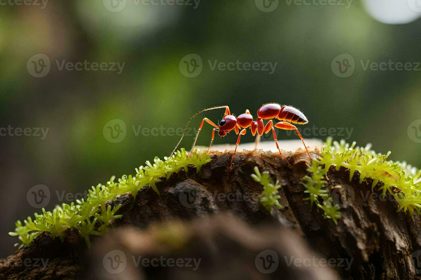 an ant is standing on top of a moss covered stump. AI-Generated photo