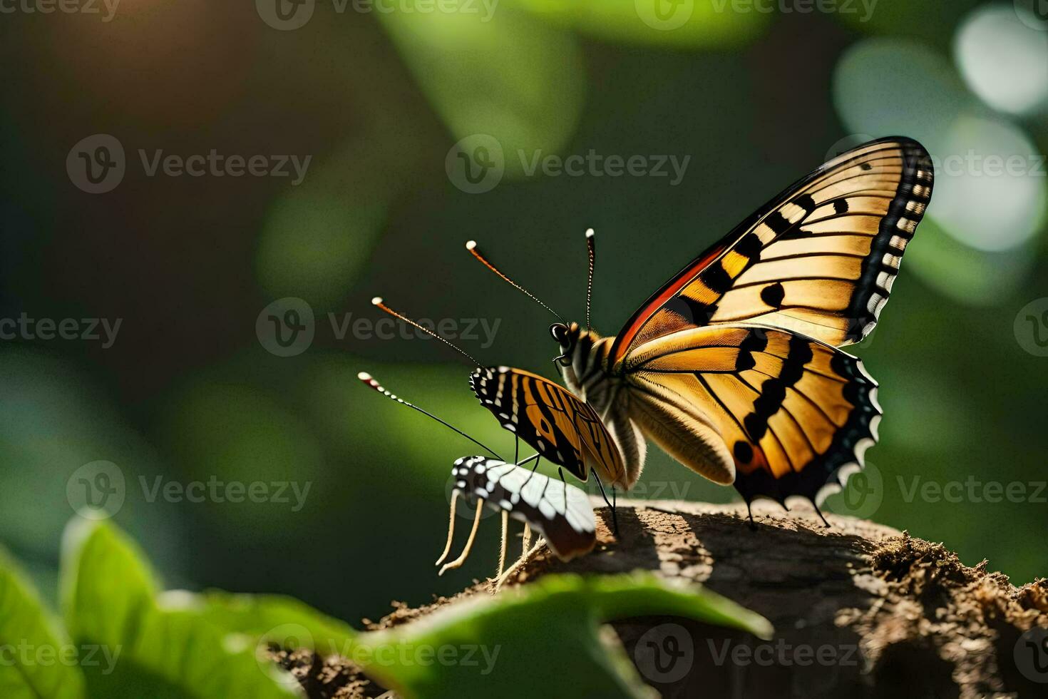 butterfly on a tree stump. AI-Generated photo