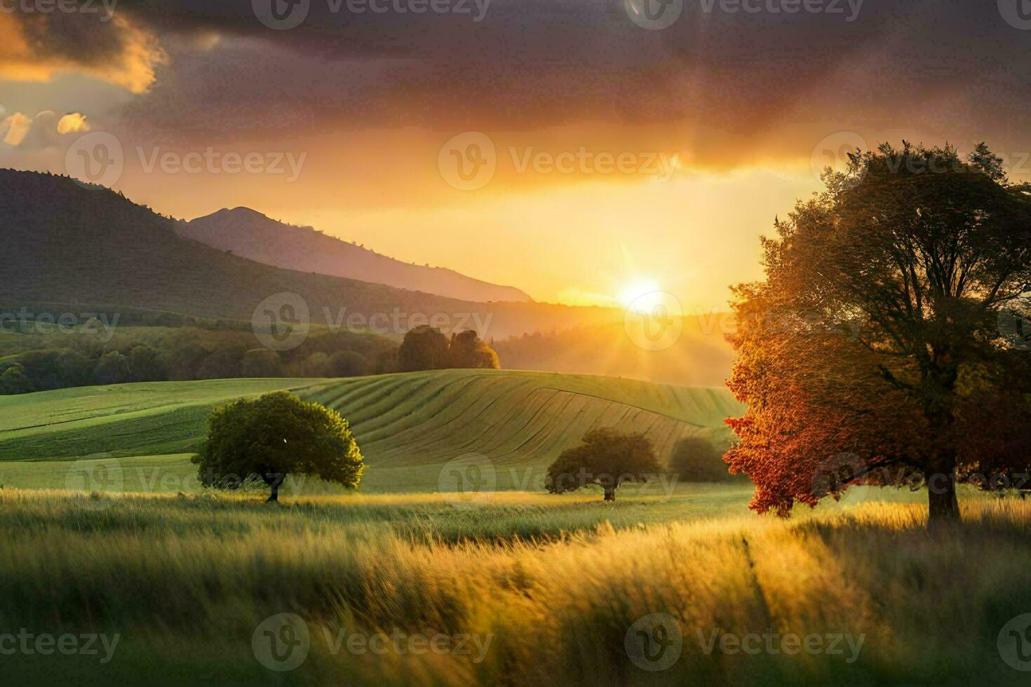 the sun sets over a field with trees and grass. AI-Generated photo