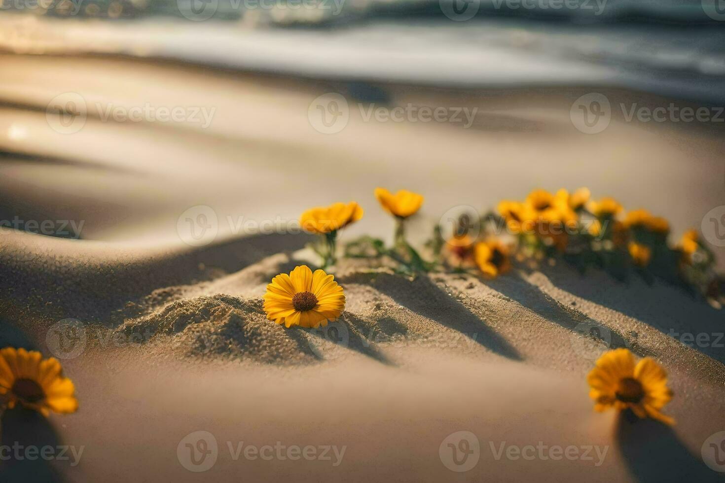 the beach flowers wallpaper. AI-Generated photo