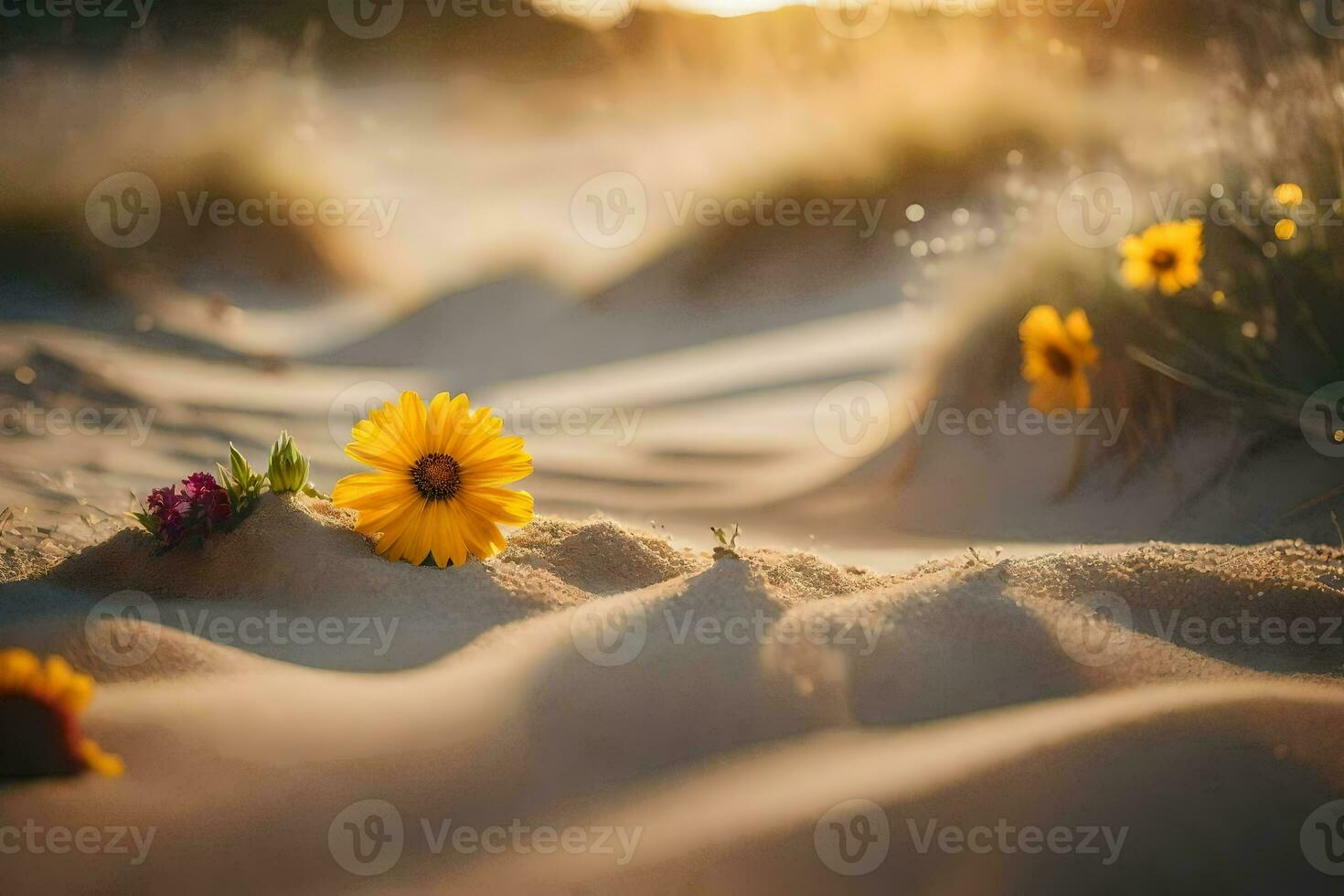 photo wallpaper sand, the sun, flowers, the sand, the flowers, the sand, the. AI-Generated