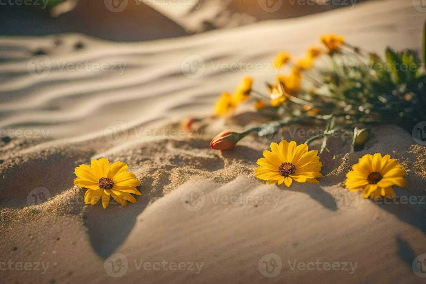 photo wallpaper sand, flowers, the desert, flowers, the desert, flowers, the desert,. AI-Generated