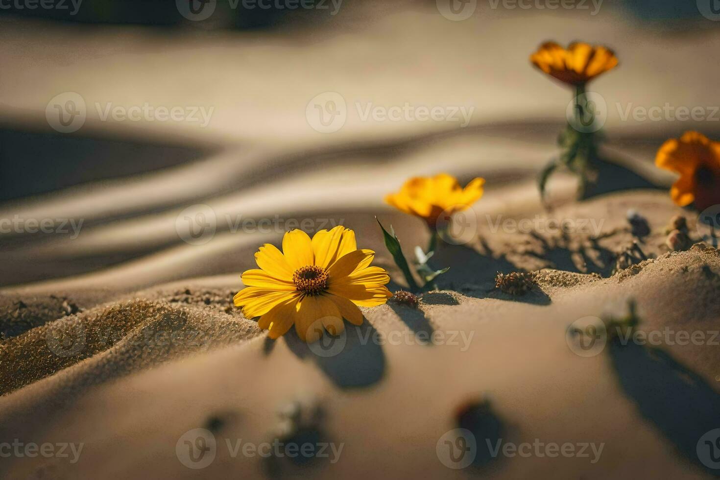 yellow flowers growing out of the sand in the desert. AI-Generated photo