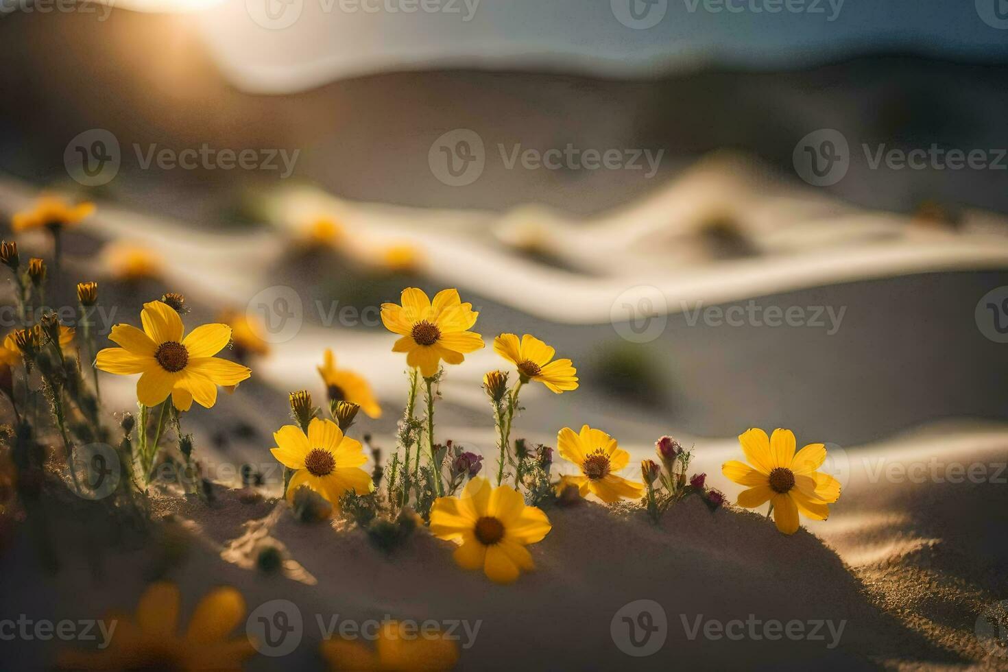 the sun shines on yellow flowers in the desert. AI-Generated photo