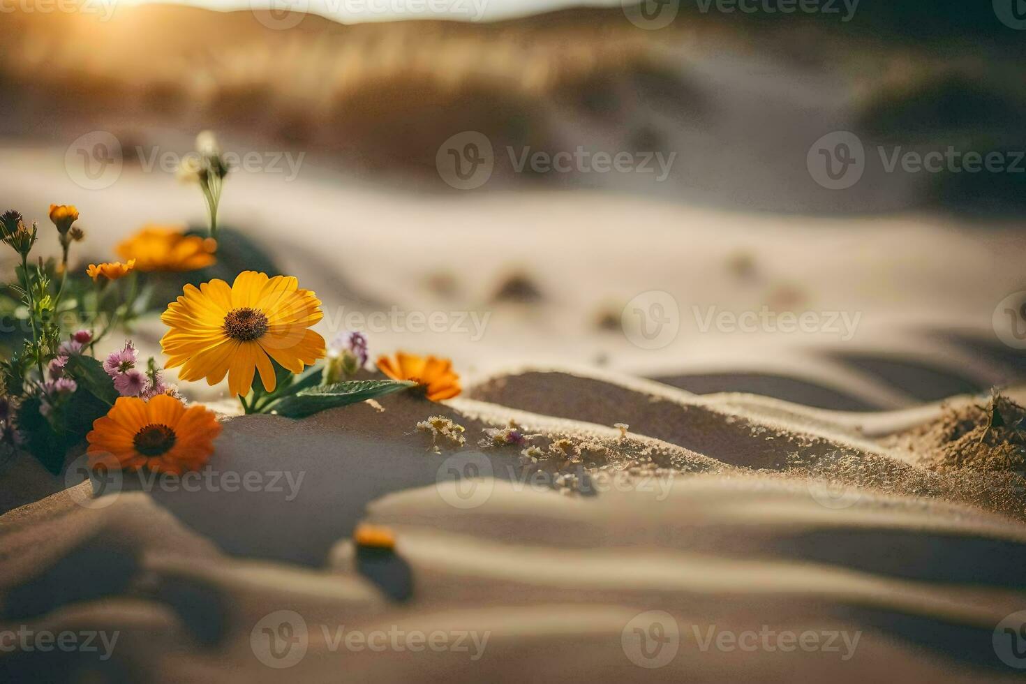 foto fondo de pantalla arena, flores, el sol, el desierto, flores, el desierto, flores. generado por ai