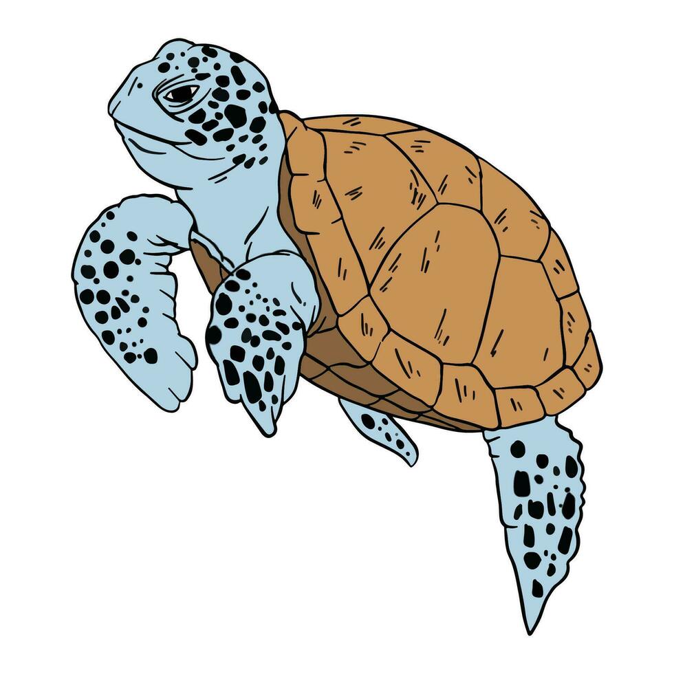 mar Tortuga ,bien para gráfico recursos, imprimible arte, adecuado para diseño recursos, logo, modelo diseños, y más. vector