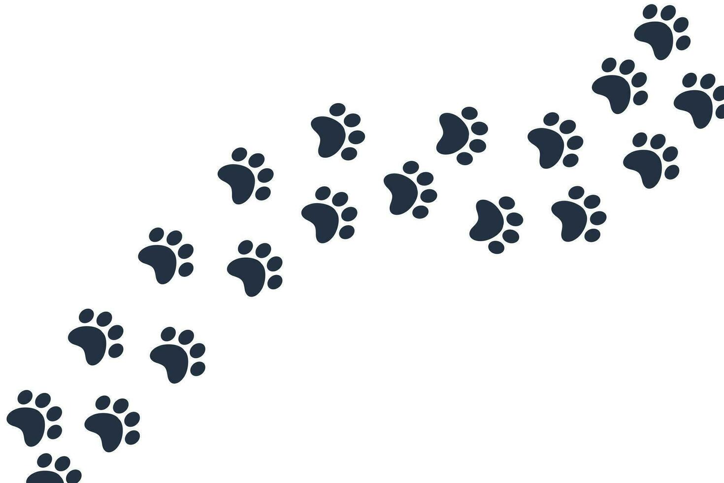 Vector paw prints cat, dog, puppy pet trace trail across screen