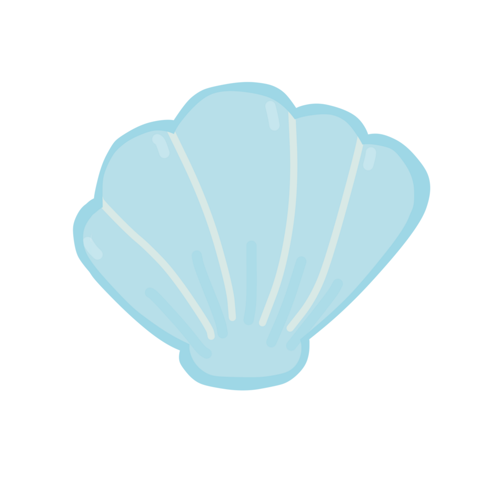 Shell in sea png