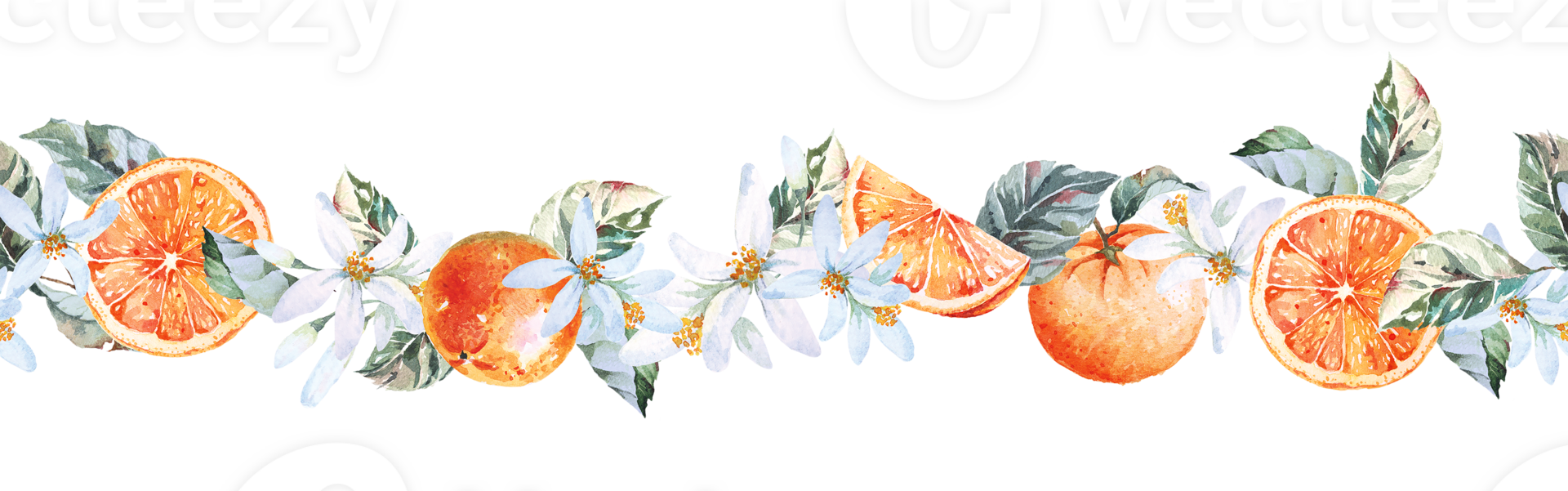 Orange border. Seamless botanical citrus rim, for cards, wedding or fabric.Hand draw with watercolor.Fruit border. png