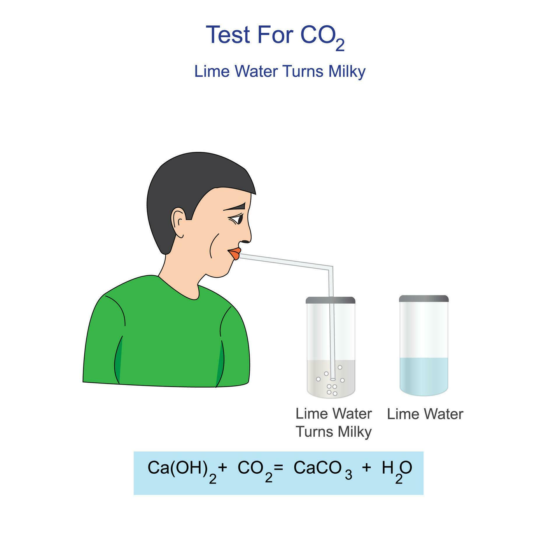 Diagram for the testing of carbon dioxide gas. bubble carbondioxide