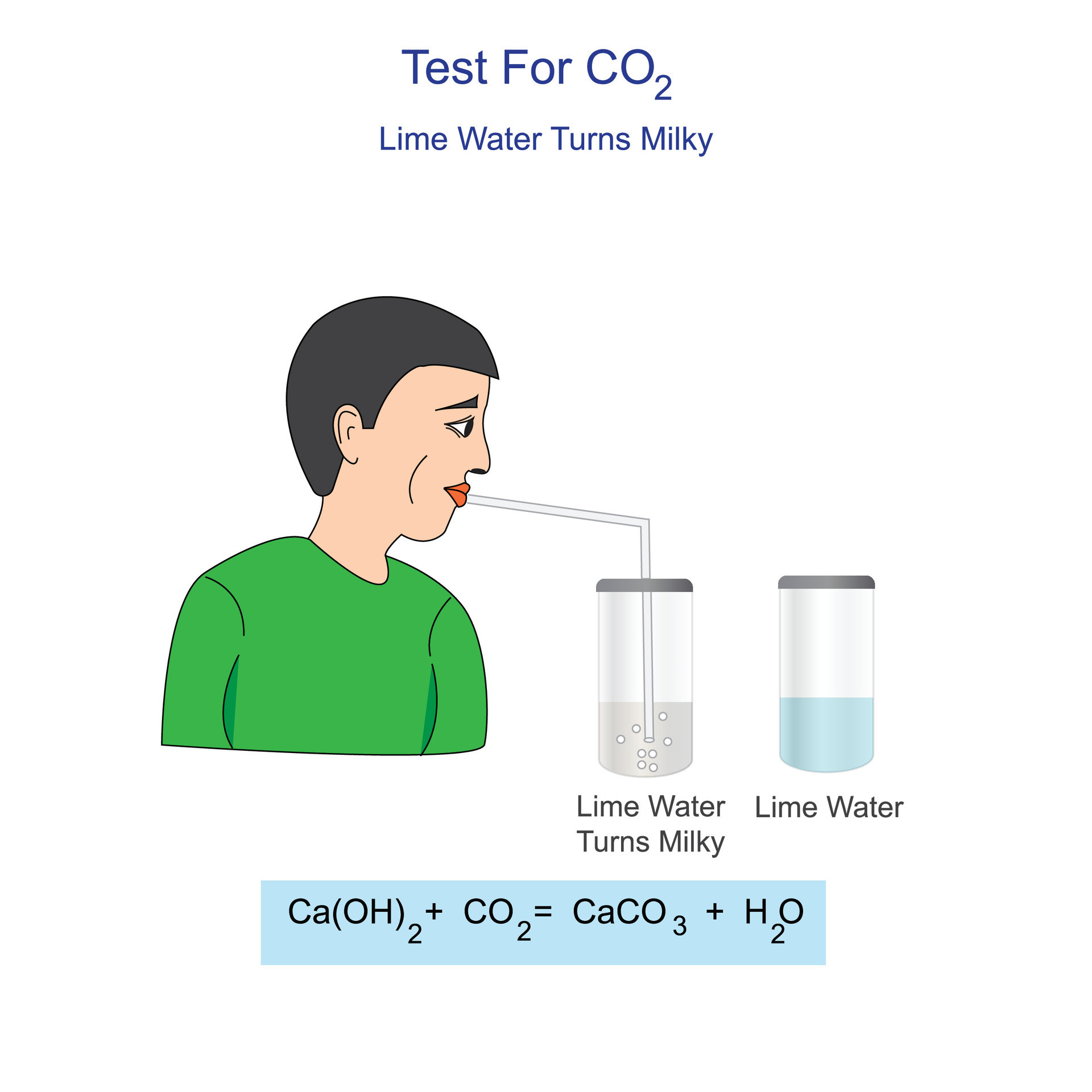 Diagram for the testing of carbon dioxide gas bubble carbondioxide
