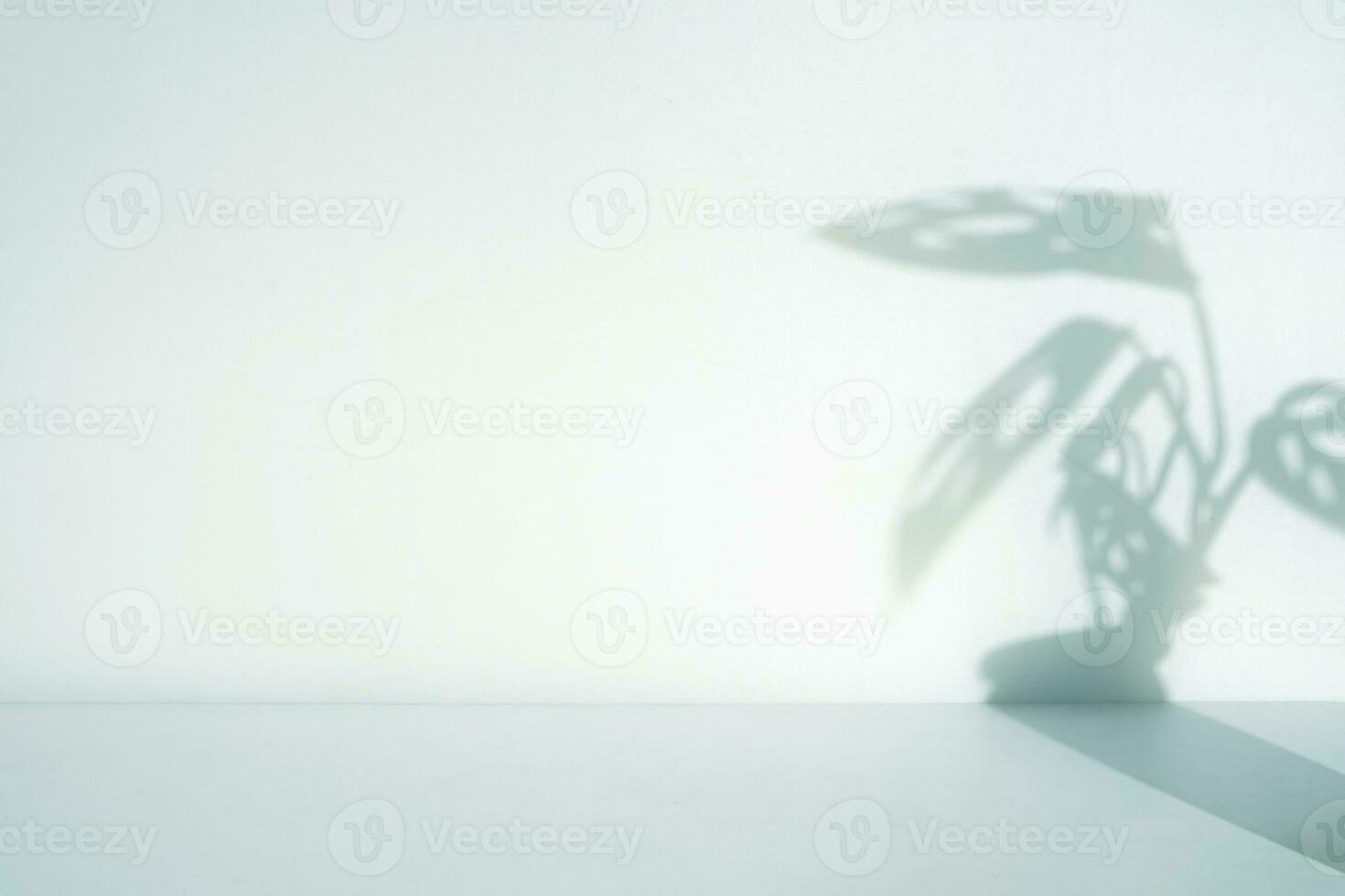 interior of office room with houseplants shadow photo