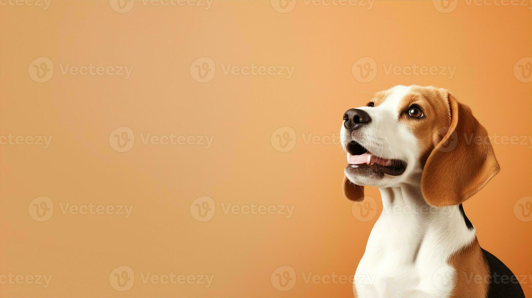 Beagle, cute dog. Web banner with copy space. Generative AI photo