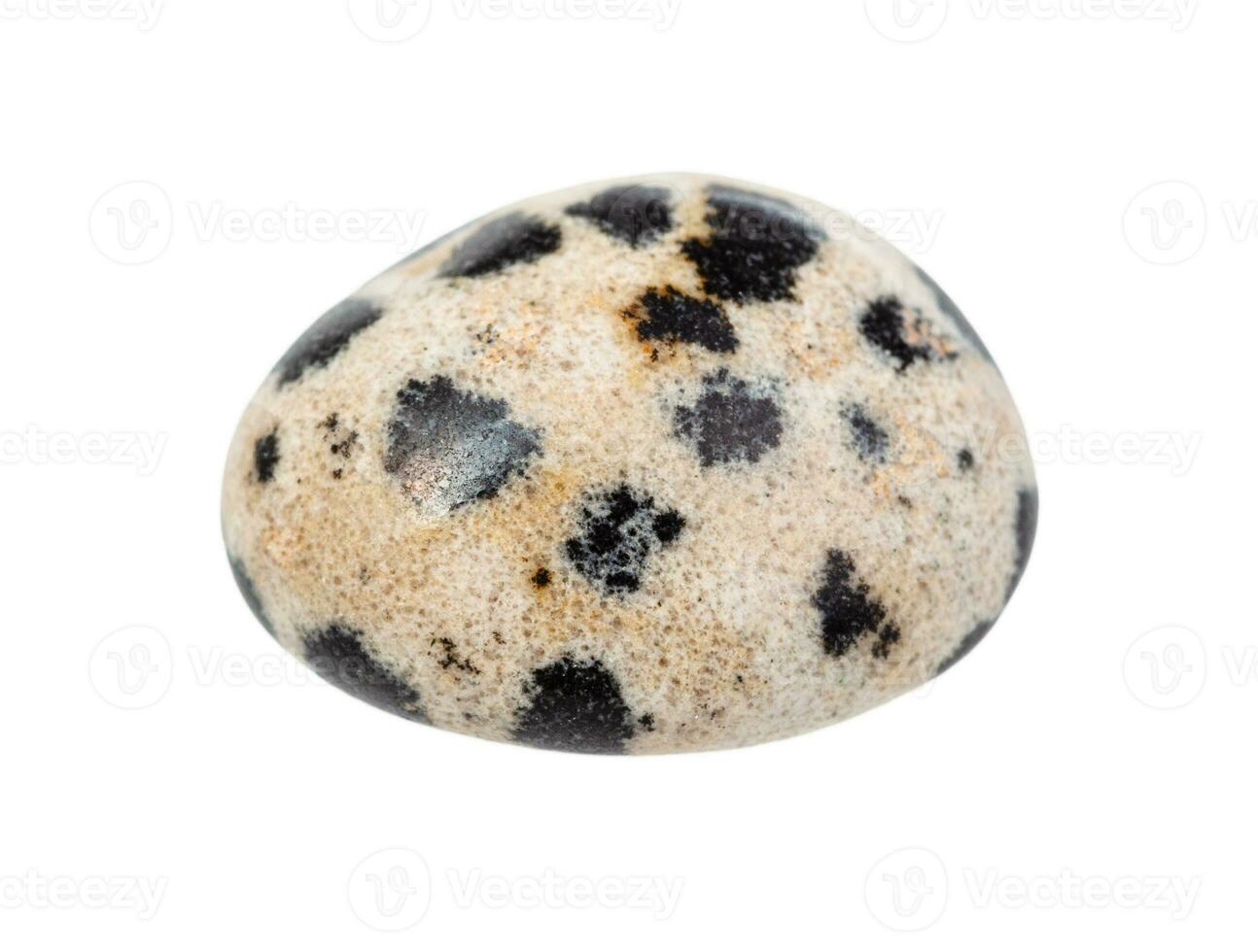 Dalmatian Jasper gem stone isolated on white photo
