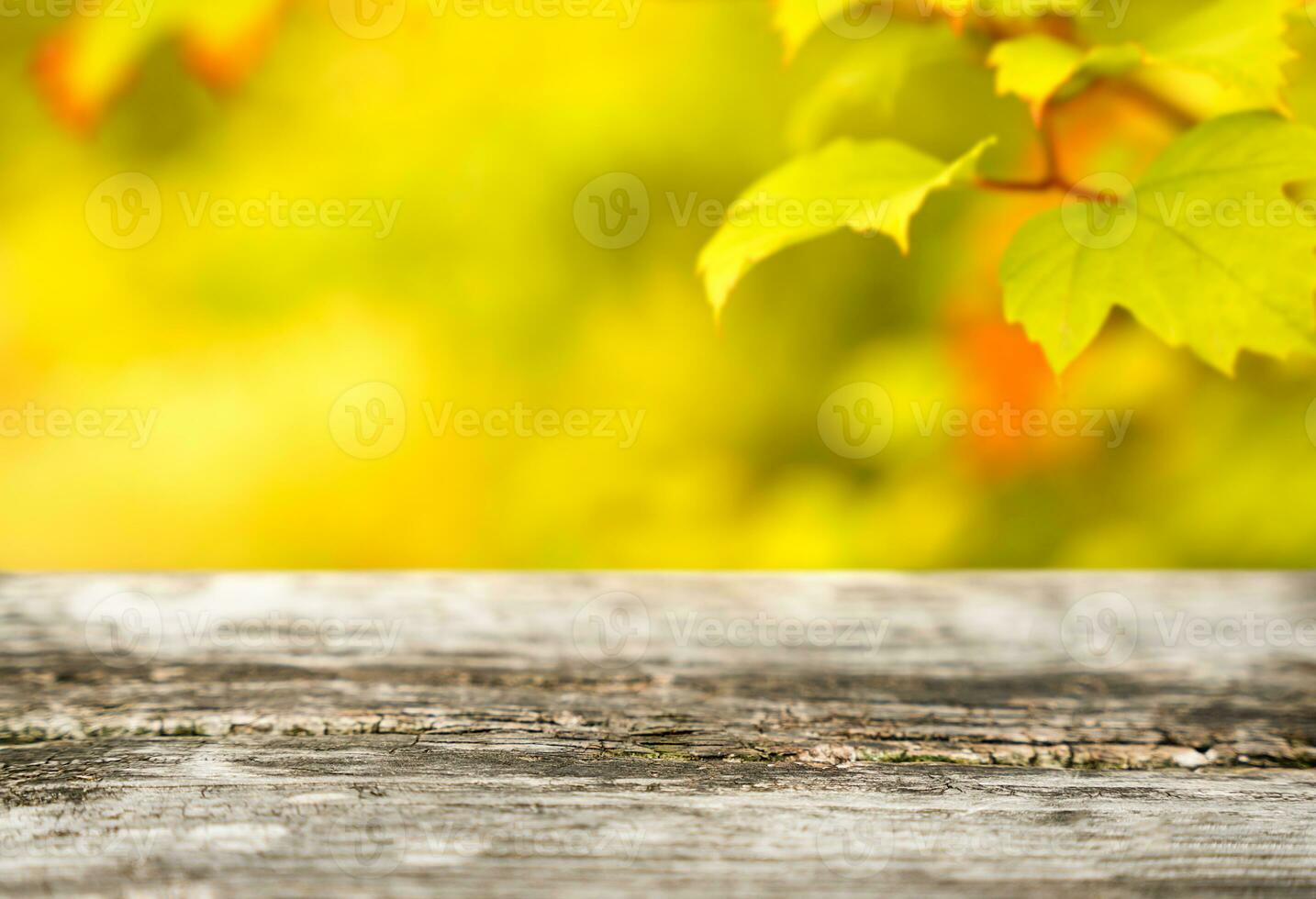 Wooden background and blurred autumn background. Autumn concept. Copy space. Selective focus. photo