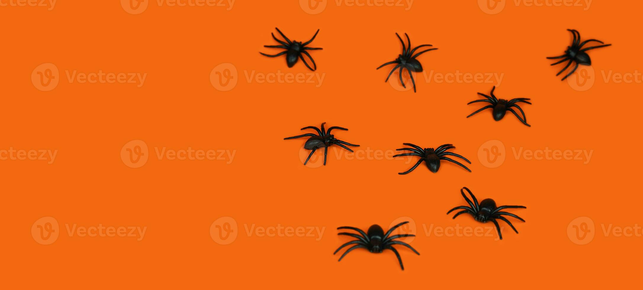 Festive background for Halloween. Black spiders on an orange background. Banner. Copy space. Selective focus. photo