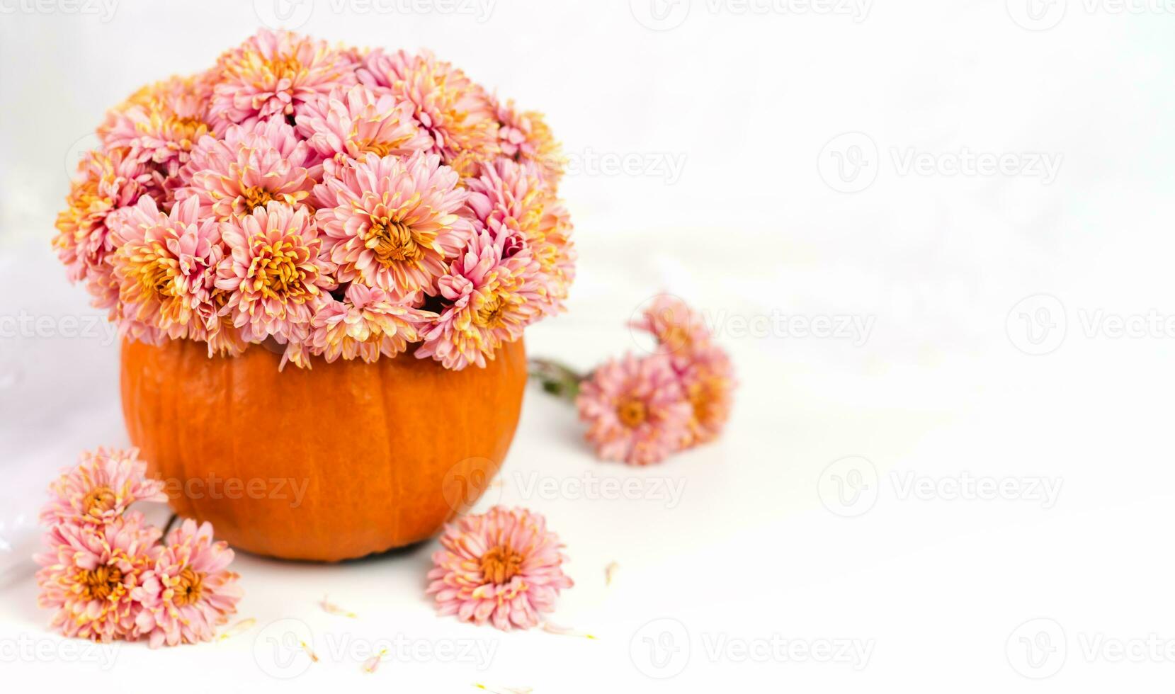 Beautiful bouquet of chrysanthemums in a pumpkin on white table. Thanksgiving celebration concept. A cozy autumn atmosphere. Close-up. photo