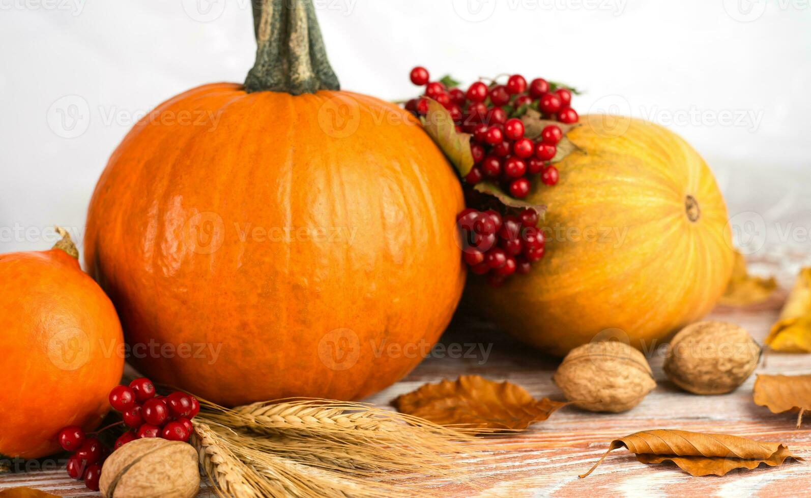 Colorful autumn composition with pumpkins, viburnum and autumn leaves. Autumn mood. Close-up. Selective focus. photo