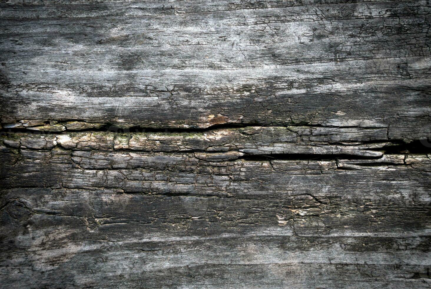 Texture of natural old wood with a crack. Natural background. Close-up. Selective focus. photo