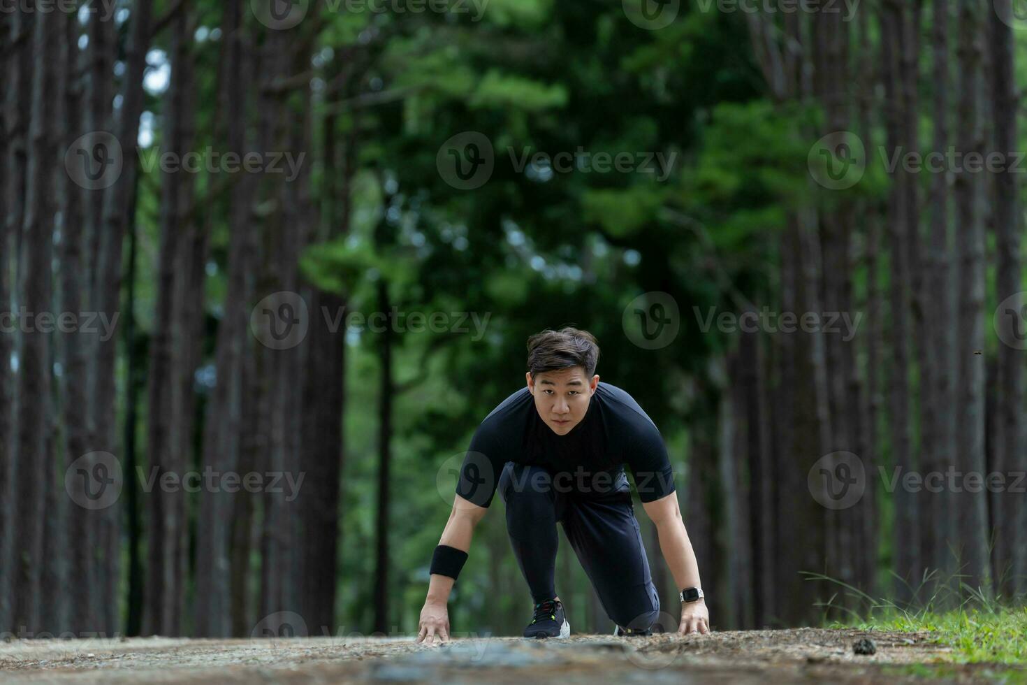 Asian trail runner is running outdoor in pine forest dirt road for exercise and workout activities training while concentrate on the start position to race for healthy lifestyle and fitness photo