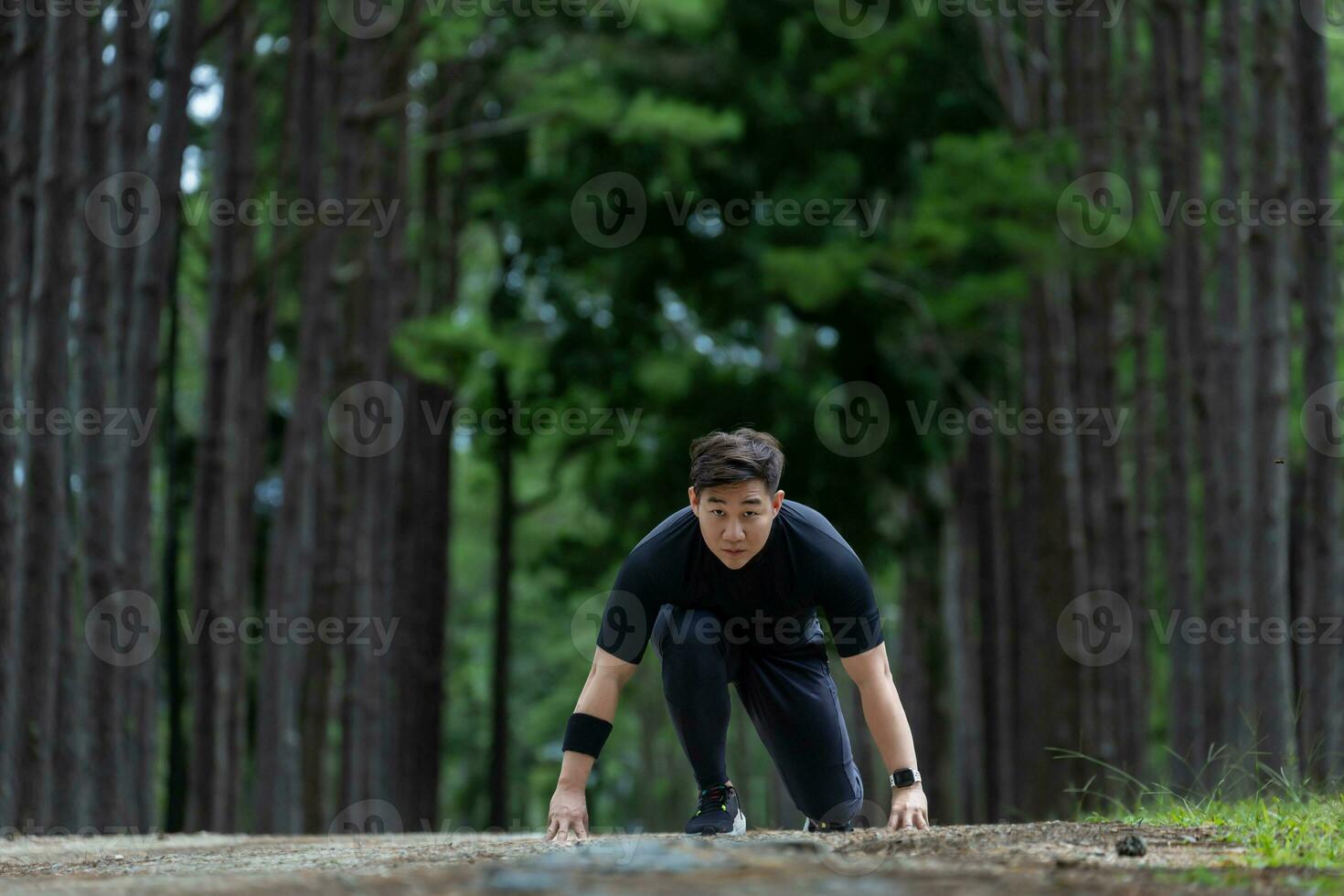 asiático sendero corredor es corriendo al aire libre en pino bosque suciedad la carretera para ejercicio y rutina de ejercicio ocupaciones formación mientras concentrado en el comienzo posición a carrera para sano estilo de vida y aptitud foto