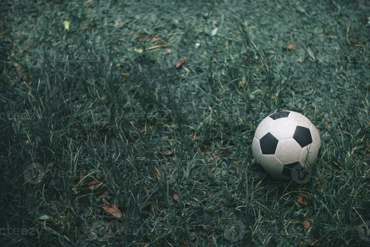 black and white striped soccer ball was placed on grass, used by soccer team to practice on club turf during training before competing. soccer ball is set against dark background of grass field. photo