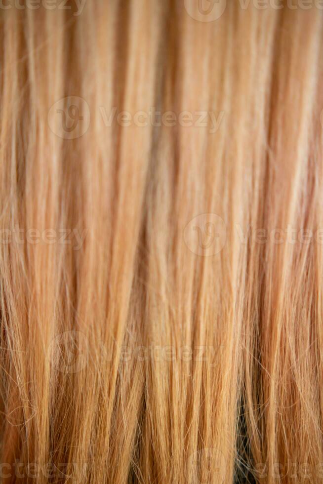 colorful background of on a young woman head after having her hair changed to a fresh color by a hair salon. Lots of hair as a beautiful, naturally lined background with Copy Space for text. photo