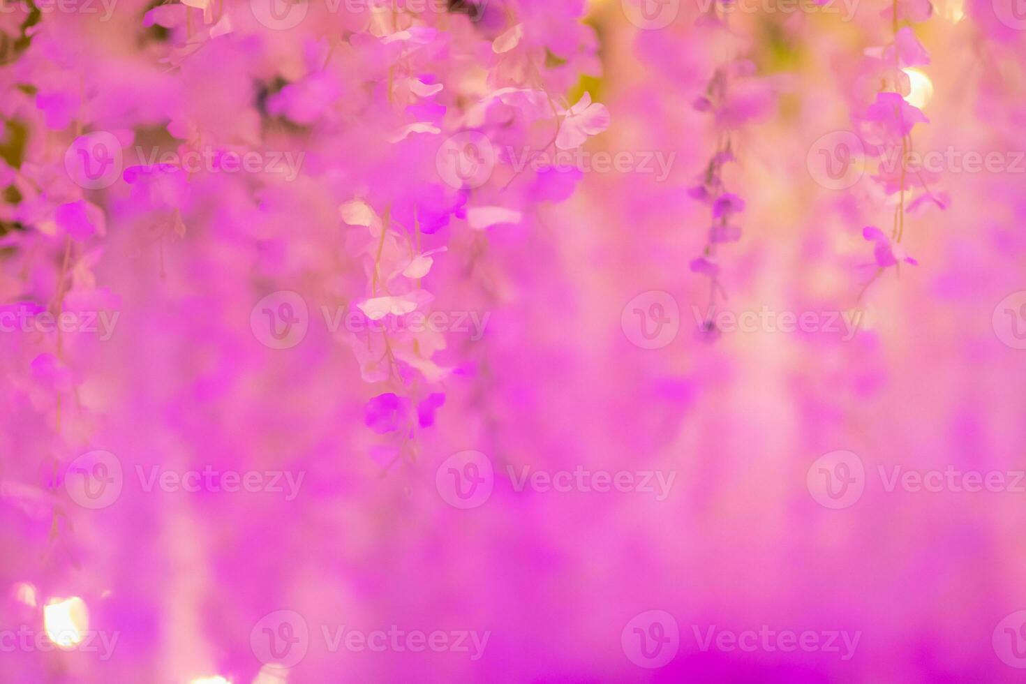 patternless colorful abstract blur background is unique abstract background and is ideal as backdrop for advertising typography designs. Abstract blurred background with Copy Space for inserting text. photo