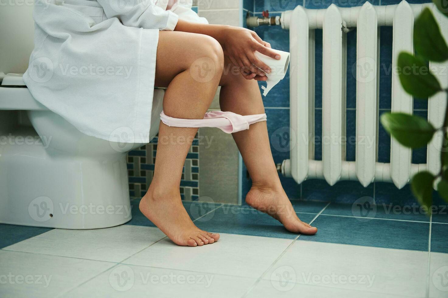 Cropped view of woman in bathroom sitting on toilet with toilet paper in hand and panties pulled down photo