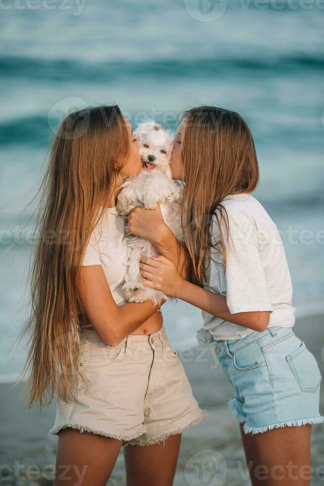 Adorable young girls and their white puppy on the beach at sunset. Beautiful teenage girls on the seashore walking and enjoy summer vacation photo