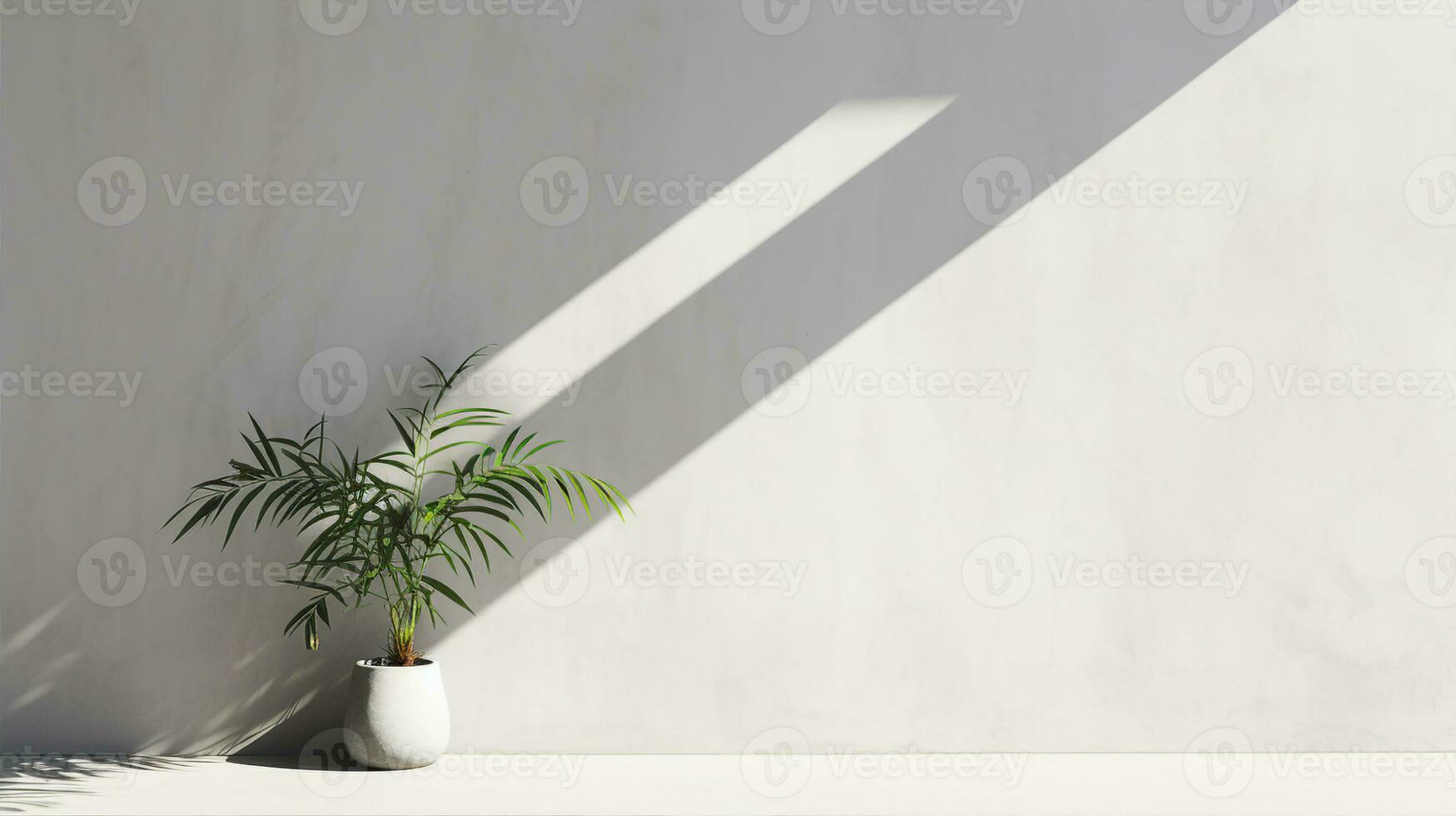 Shadow on white wall, plant, light background with copy space. Generative AI photo