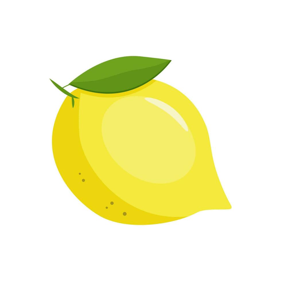 Fresh lemon fruit. Vector illustration on white background