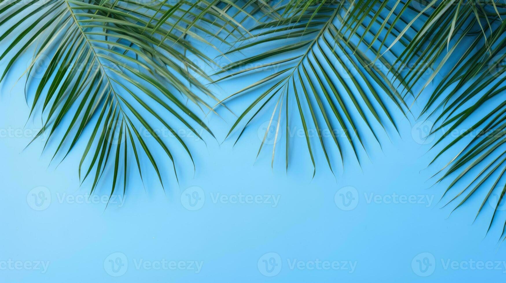 Palm leaf shadow, blue wall, summer background. Generative AI photo