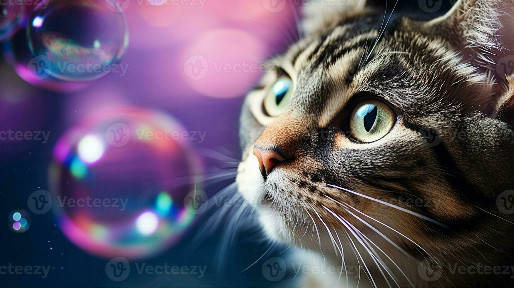 Cat entranced by a floating soap bubble, its iridescent colors reflecting in its eyes. Generative AI photo