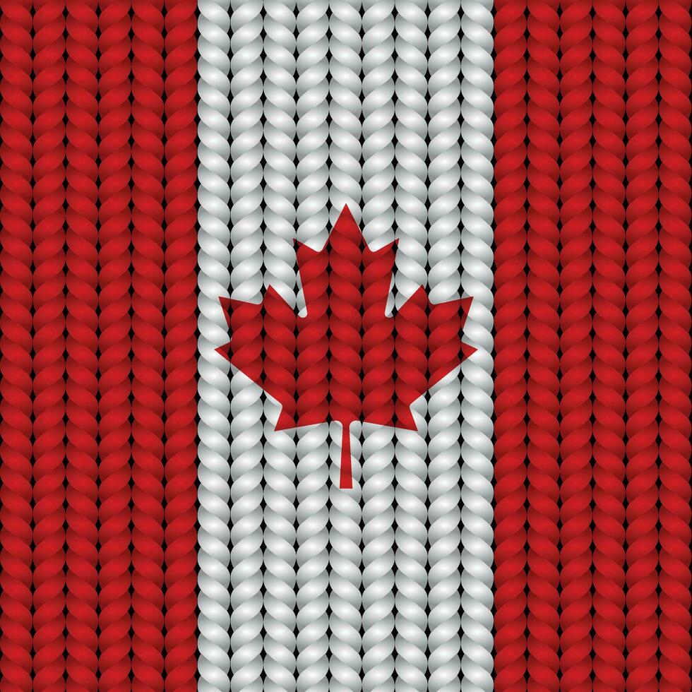 National flag braided rope vector