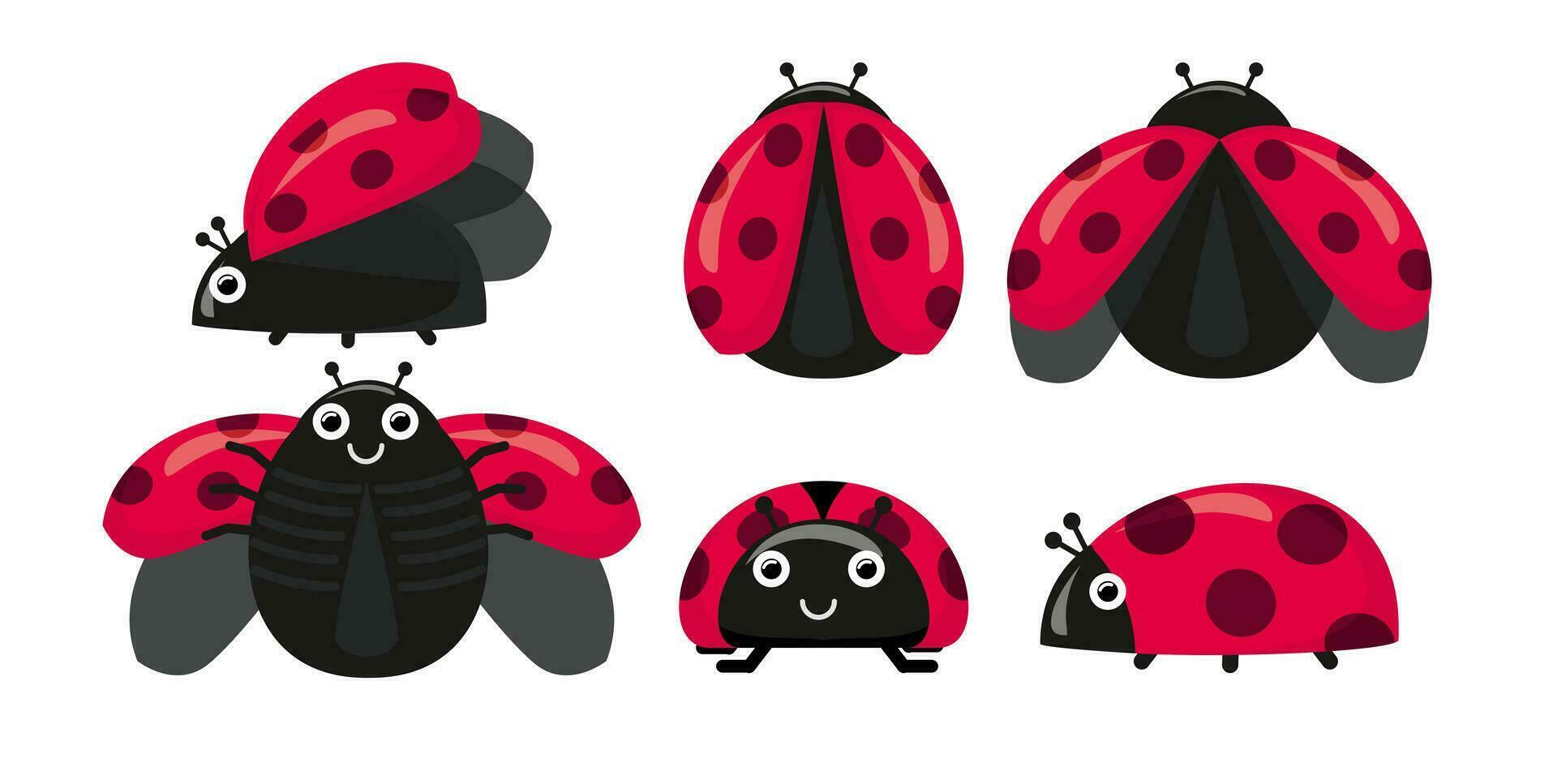 Set Cute ladybug in different poses. Collection of stickers with dotted flying beetles, children's illustration. Cartoon style. vector