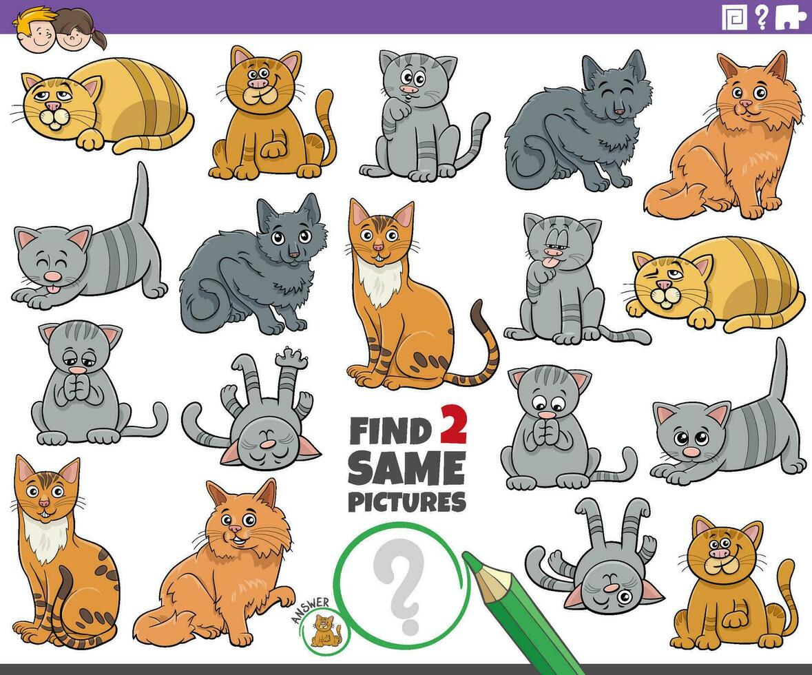 find two same cartoon cat characters educational activity vector