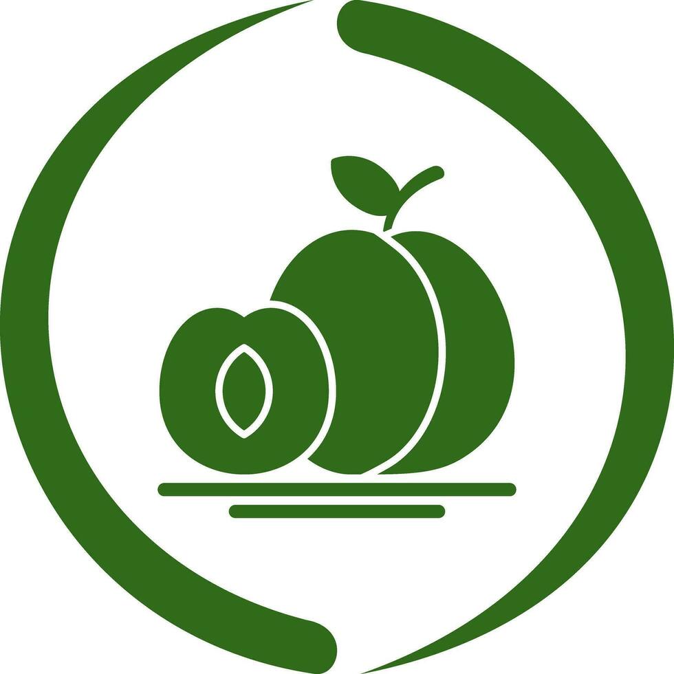 Apricot Vector Icon