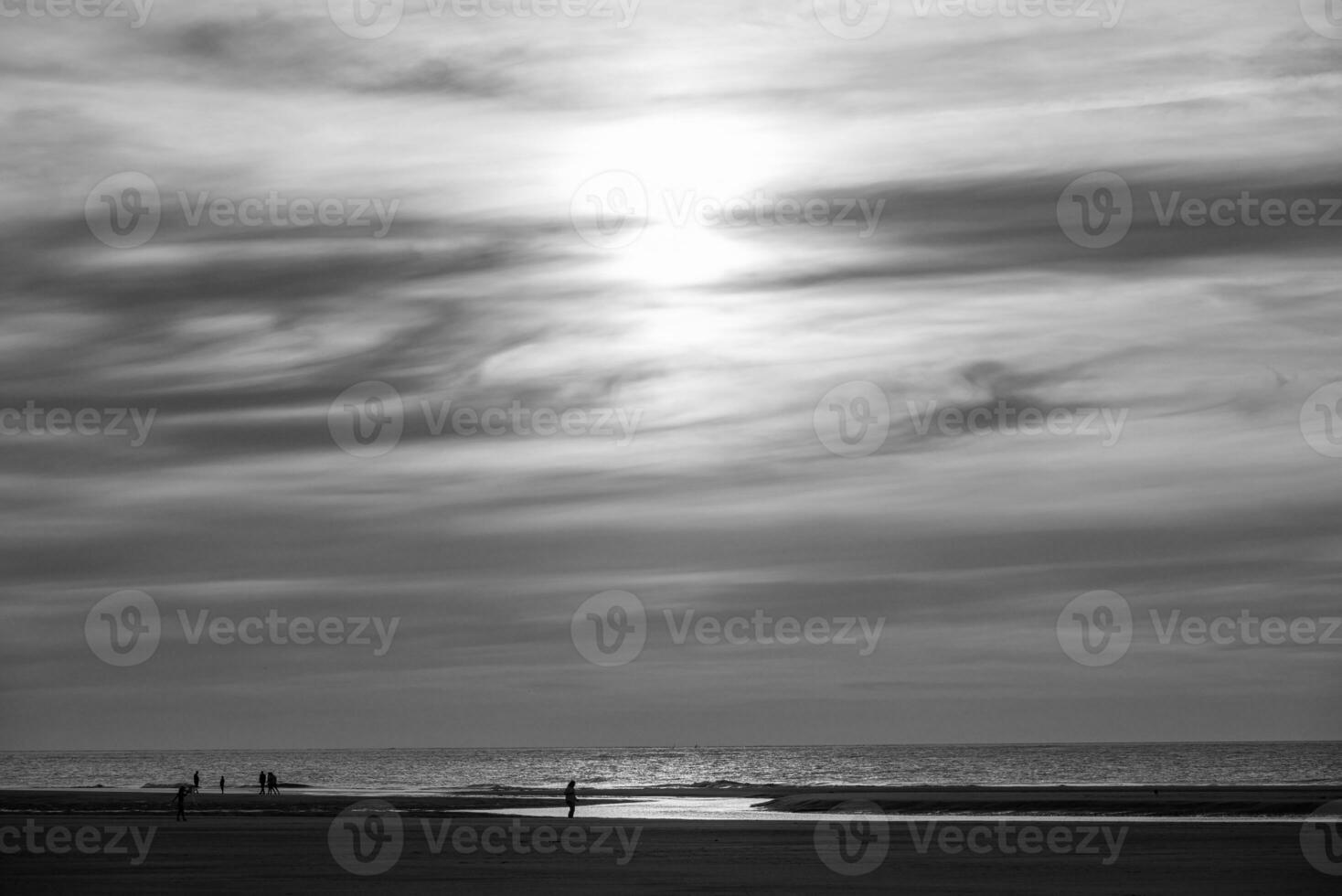 summer time on langeoog island photo