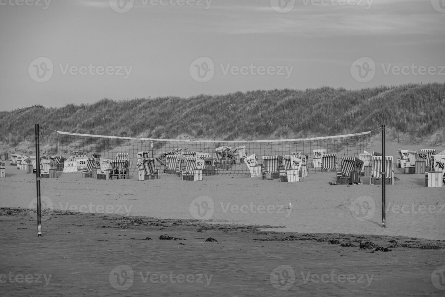 the beach of langeoog island photo